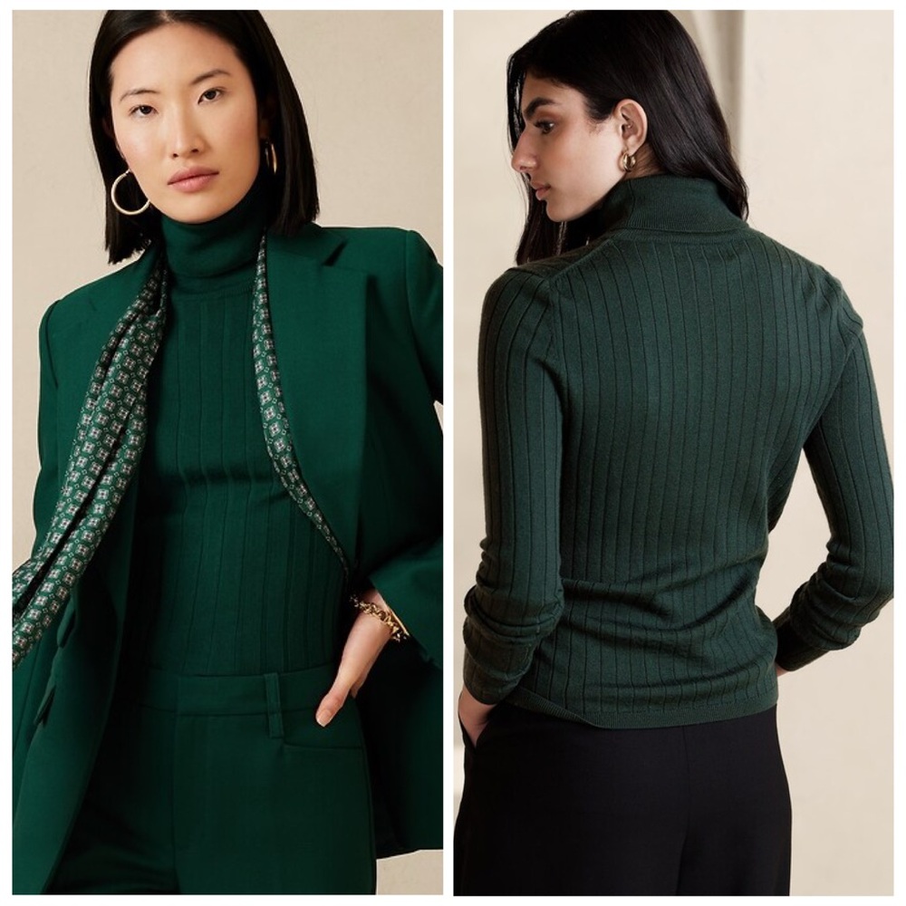 Banana Republic Lucci Merino Turtleneck
